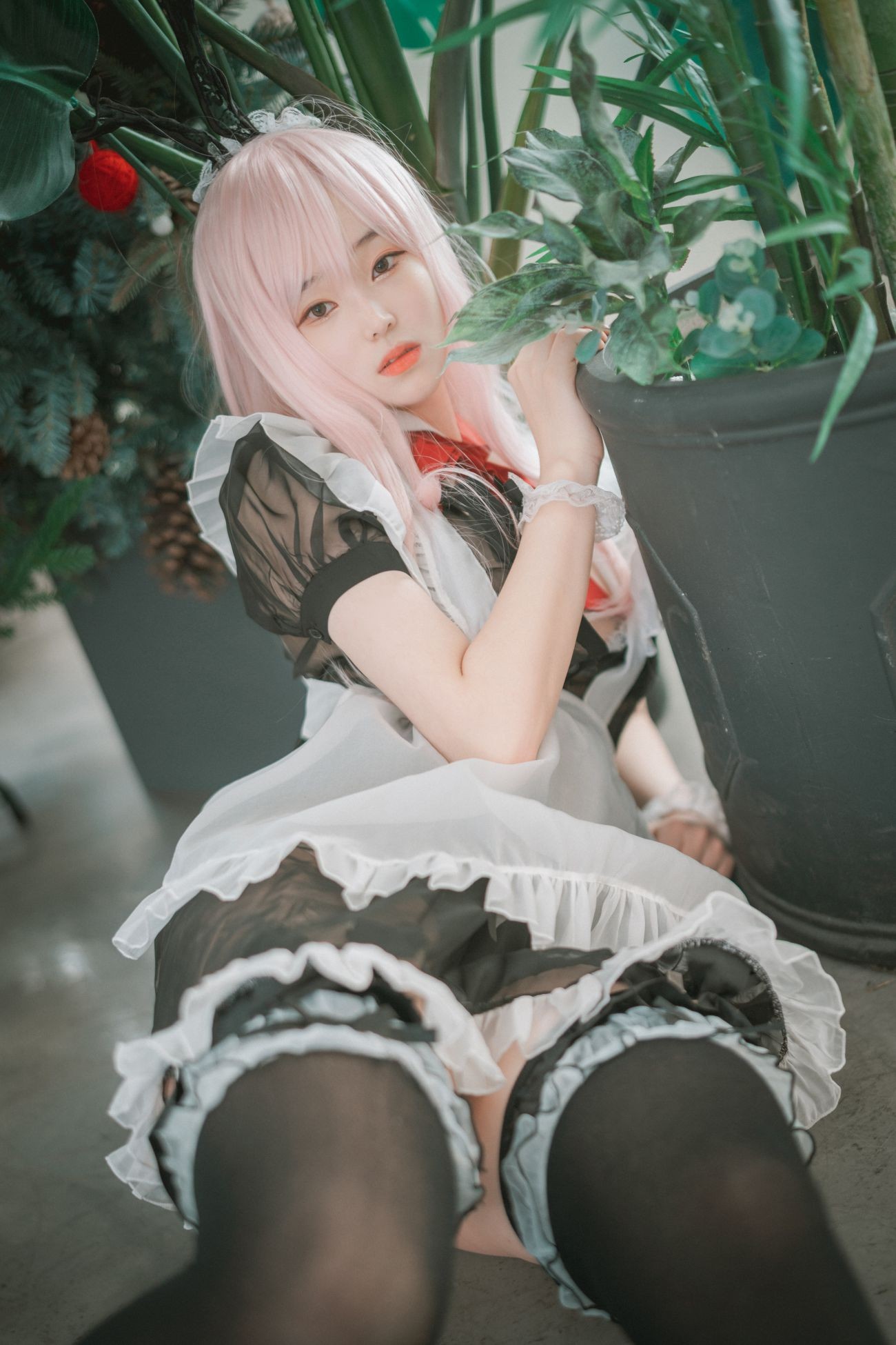 DJAWABamBi Sheer Bunny Maid (34)